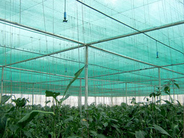 Hdpe の日曜日の植物を保護する温室のための反紫外線農業の陰の網