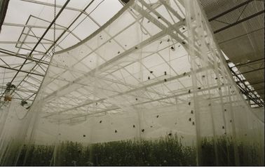 プラスチック庭の農業の反昆虫の網、植物の反昆虫の網