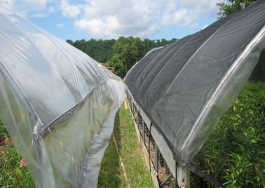 農業、4 x 100m のための黒いプラスチック温室の陰の網