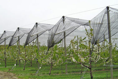 農業の果物と野菜のための反紫外線のプラスチック反あられの網