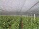 農業の温室の陰の網