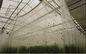 白い HDPE の反昆虫の網、農業/温室のための反みみずの網
